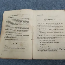 HOA HỌC TRÒ: KỶ NIỆM MÙA HÈ 957470