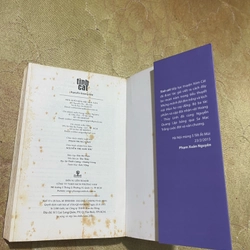 TÌNH CÁT- nguyễn quang lập 470858