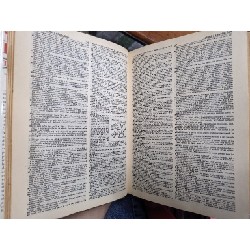 WESTER'S NEW WORLD DICTIONARY 161445