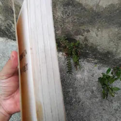 Từ điển thi ca Anh - Mỹ - Việt  1030155