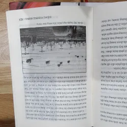 Chạy trốn và mất tích 572754