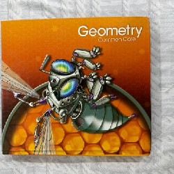 Geometry Common Core 11166