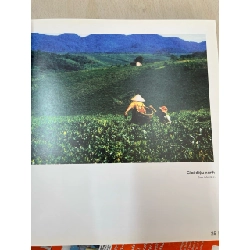 Nhiếp ảnh Gia Định 752591