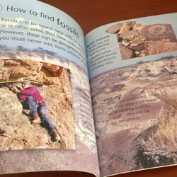 PICTURE BOOK Rocks and fossils 536674