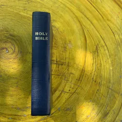 HOLY BIBLE- PLACED BY THE GIDEONS 797302