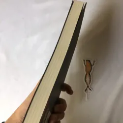 Người Ếch - Shichiri Nakayama 739846