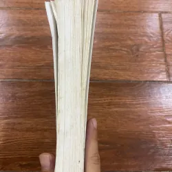Nhân Học Một quan điểm về trình trạng nhân sinh (B) 561015