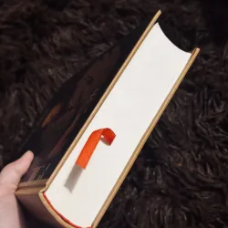 Chàng Ngốc 1008066