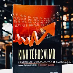 Kinh Tế Vi Mô