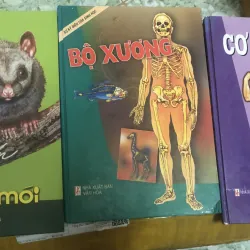 kiến thức tổng hợp bìa cứng in màu in 199x