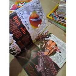 Quyển sách kỳ thú về động vật - mới 80% rách gáy - KHOA HỌC ĐỜI SỐNG - HCM0111 920819