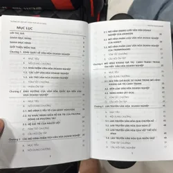 Sách Văn hoá doanh nghiệp 720075