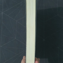 "Trăng sáng cố hương" - Lại Nhĩ 492903
