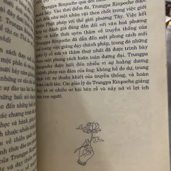 Trí tuệ mê cuồng - Chogyam Trungpa 1009754