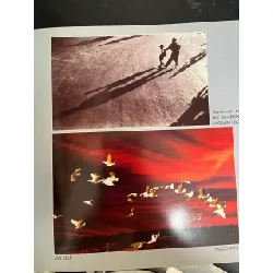 An Giang tập ảnh nghệ thuật