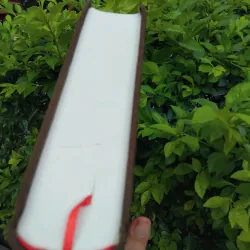 Leonardo Da Vinci của Walter Isaacson 972258