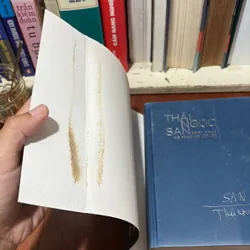 II Văn Học: Thái Ngọc San _ Khát Vọng Và Tình Ca Để Lại - 2005 739399