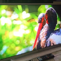 [Tivi  Smart LG 32" Full Phụ kiện Đẹp - Bền Lướt Mạng Rất Nhanh] 4682