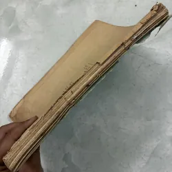 Dược lý học - 1969s 1013280