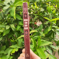 Minh Tâm Bảo Giám - Gương Sáng Soi Sáng Tâm Hồn - Nguyễn Nguyên Quân 525469