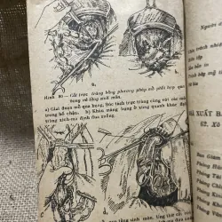 Các bệnh ngoại khoa - N.N. ÊLANXKI hơn 700 trang , dịch từ nước ngoài  799772