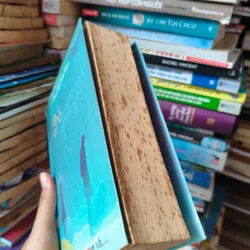 Nêú không là tình yêu 🌱 564006