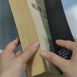 Nếu ốc sên có tình yêu - Đinh Mặc 688711