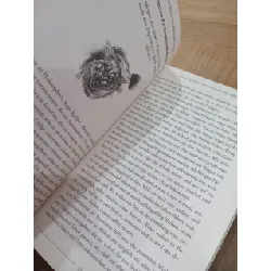 Das kleine handbuch des stoizismus - Jonas Salzgeber 674501