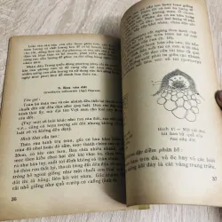 RAU CÂU, nxb 1969 956942