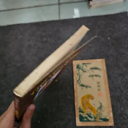 Truyện kiều đọc ngược - Phan đan quế 736985