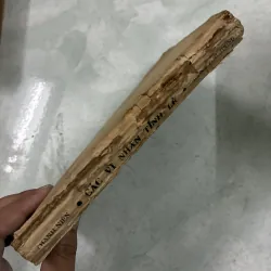 Các vĩ nhân tỉnh lẻ - Dương Thu Hương 1025166