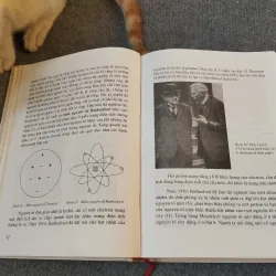 NĂNG LƯỢNG NGUYÊN TỬ VÀ ĐỜI SỐNG - GS.TS. ĐINH NGỌC LÂN 727184