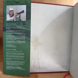 XUÂN THÌ - SPRINGTIME (THÁI PHIÊN) 706740