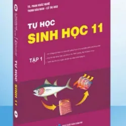 Sách 2026-Tự học Sinh học lớp 11 Tập 1+2 795750