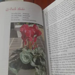 TRUYỆN KỂ VỀ CÁC LOÀI HOA 733863