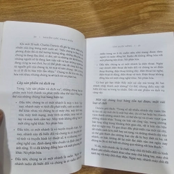 Nguồn gốc Nhãn hiệu  446705