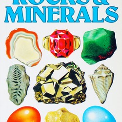 Usborne Spotter's Guides: Rocks & Minerals