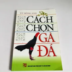 CÁCH CHỌN GÀ ĐÁ 