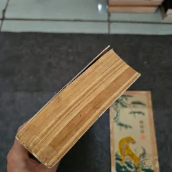 Đức Phật, nàng Savitri và tôi - Hồ anh thái 737255