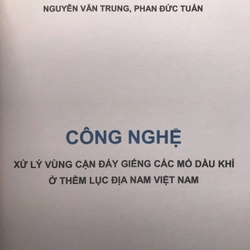 CÔNG NGHỆ XỬ LÝ VÙNG CẬN ĐÁY GIẾNG CÁC MỎ DẦU KHÍ Ở THỀM LỤC ĐỊA NAM VIỆT NAM 465825
