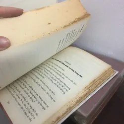Trả ta kiếp này 1034460