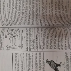 Từ điển Anh Anh Việt 571402