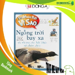 (TẶNG BOOKMARK) EMBVS - Ngỗng trời bay xa Sách thiếu nhi