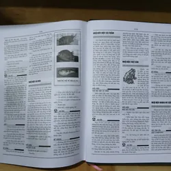 Từ Điển Bách Khoa Y Học Anh Việt (A - Z) - GS Ngô Gia Hy 398113