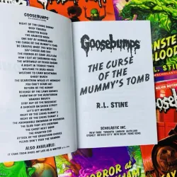 Bộ truyện - Goosebumps 10 quyển - Cơn sốt kinh dị tuổi thơ đã trở lại, sách nhập trung đẹp 936554