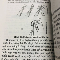 CẨM NANG BON SAI 447858