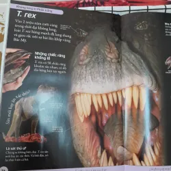 Bách Khoa Khủng Long dành cho trẻ em. Dinosour Encyclopeadia by Caloline. Minh Nguyệt dịch 572494