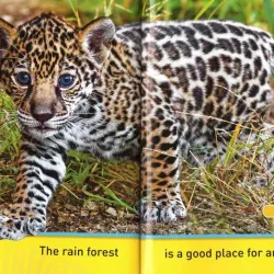 National geographic (Sách nhập) - Pre K - 30 quyển + File Mp3 759648