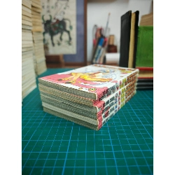 Truyện Tranh Hãy Bảo Vệ Tôi, Nữ Thần Nguyệt Thiên! 738892