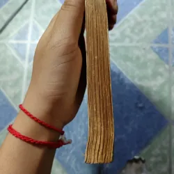 Những đứa trẻ chết già - Nguyễn Bình Phương 993611